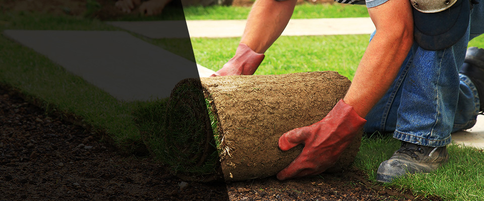 Stevens Point Landscapers